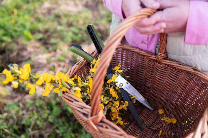 Basket of Falside Gorse from Purple Sage Soap company Scotland